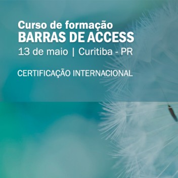 Maio 2017 - Sábado - Curso de Formação Barras de Access com Sônia Caetano